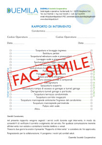 Rapporto di intervento Duemila